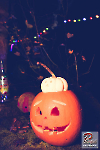 www_PhotoFloh_de_Private_Halloween-Party_Silz_31_10:2022_069